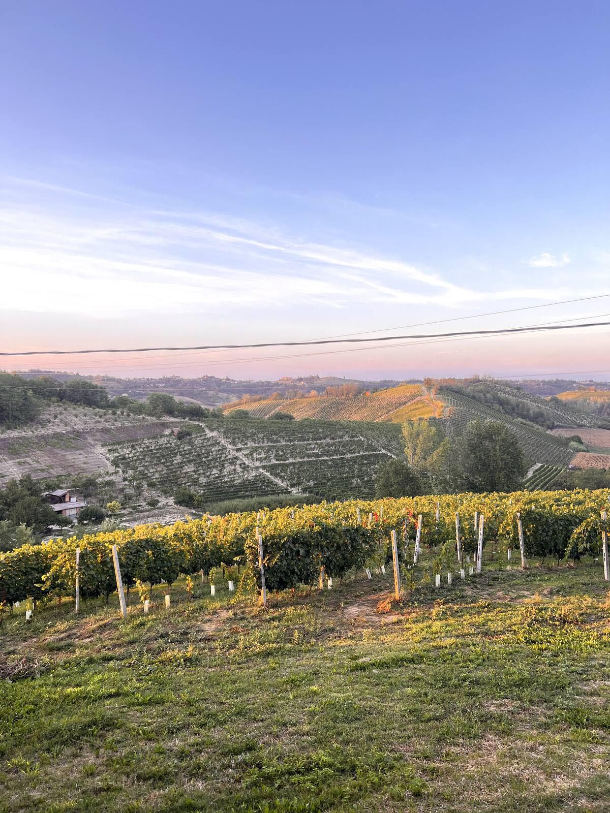 Holidays House monferrato view on vineyards